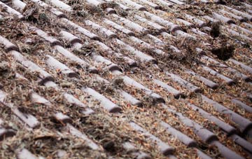 Auchenharvie roof cleaning companies